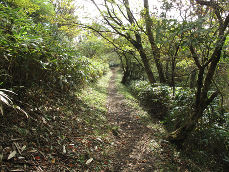 20181025hike (186)